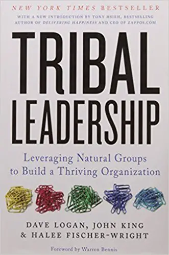 Liderazgo tribal: aprovechar los grupos naturales para construir una organización próspera - portada