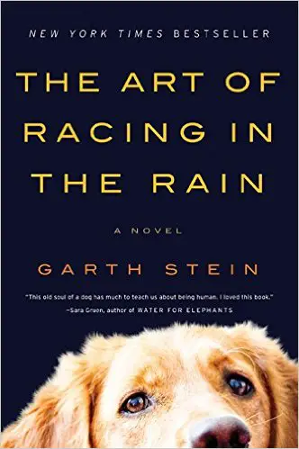 The Art Of Racing In The Rain - cover