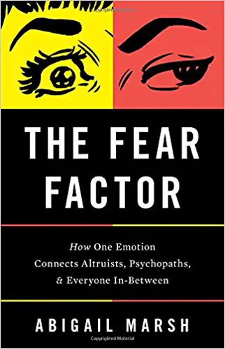The Fear Factor - cover