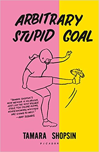 Arbitrary Stupid Goal - cover