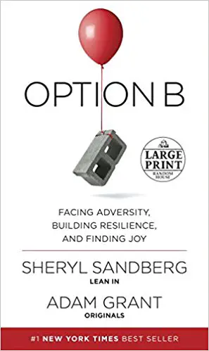 Option B: Facing Adversity, Building Resilience, and Finding Joy - cover