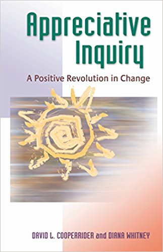 Appreciative Inquiry: A Positive Revolution in Change - cover