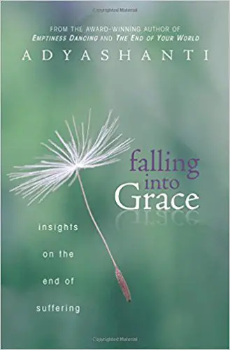 Falling into Grace: Insights on the End of Suffering - cover