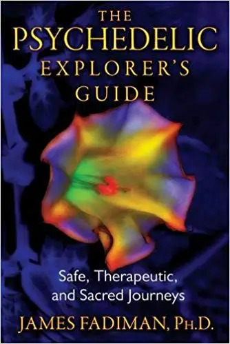 The Psychedelic Explorer’s Guide: Safe, Therapeutic, and Sacred Journeys - cover