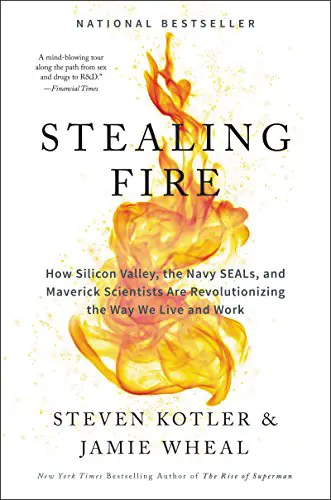 Stealing Fire: How Silicon Valley, the Navy SEALs, and Maverick Scientists Are Revolutionizing the Way We Live and Work - cover
