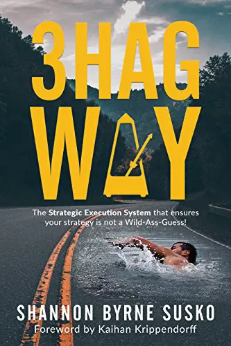 3HAG WAY: The Strategic Execution System that ensures your strategy is not a Wild-Ass-Guess! - cover