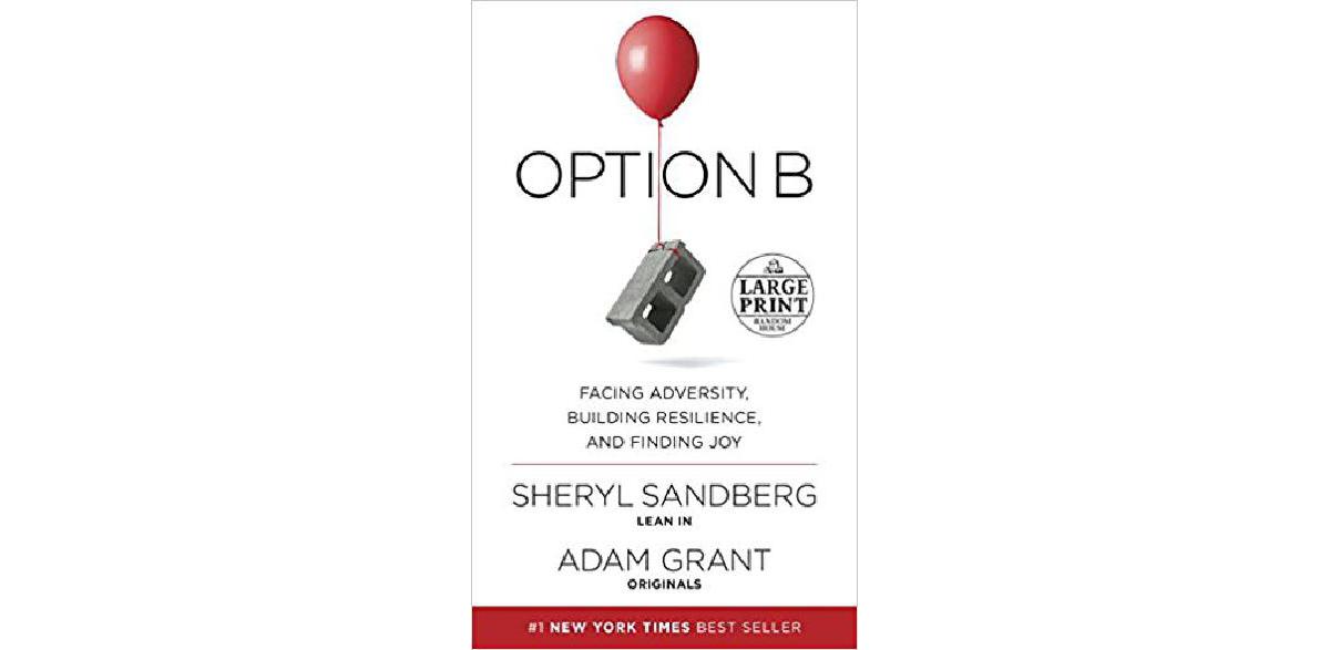 Option B: Facing Adversity, Building Resilience, and Finding Joy