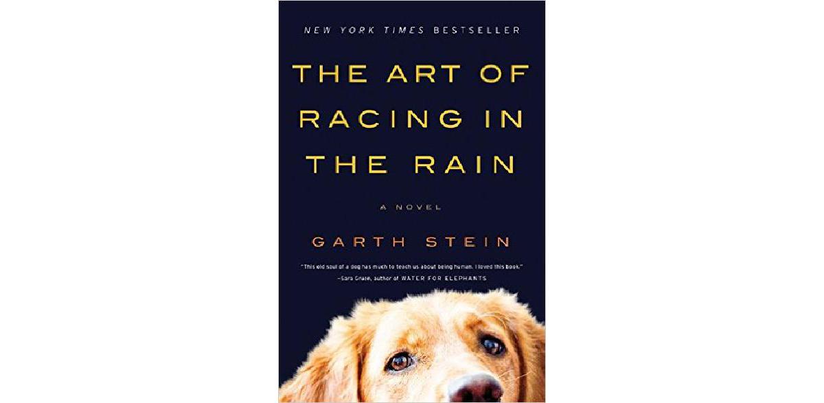 The Art Of Racing In The Rain