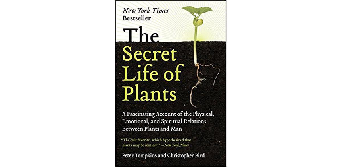 The Secret Life of Plants: a Fascinating Account of the Physical